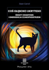 Coś głęboko ukrytego - Sean Carroll - książka