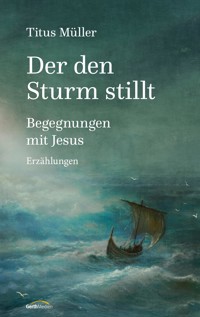 Der den Sturm stillt - Titus Müller - ebook