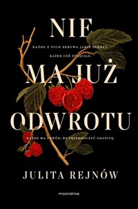 Nie ma już odwrotu - Rejnów Julita - ebook + książka
