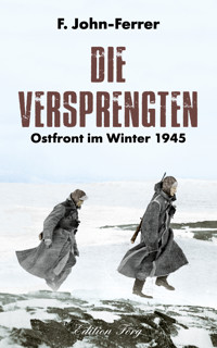 Die Versprengten - F. John-Ferrer - ebook