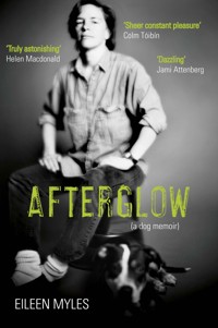 Afterglow - Eileen Myles - ebook