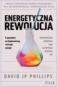 Energetyczna rewolucja - Phillips David JP - książka