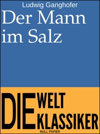 Der Mann im Salz - Ludwig Ganghofer - ebook