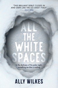 All the White Spaces - Ally Wilkes - ebook