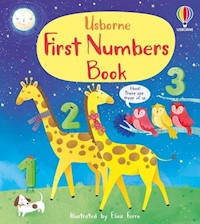 First Numbers Book - Cartwright Mary - książka