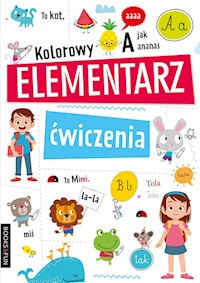 Kolorowy Elementarz Ćwiczenia -  - książka