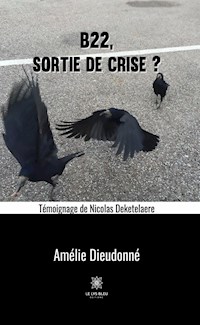 B22, sortie de crise ? - Amélie Dieudonné - ebook