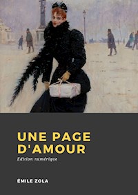 Une page d'amour - Émile Zola - ebook