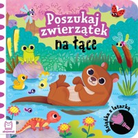 Poszukaj zwierzątek na łące. Książka z latarką - Bogusław Michalec - książka