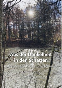 Aus der Dunkelheit in den Schatten - Willy Brauen - ebook