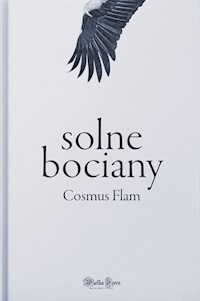 Solne bociany. Opowieść o izerskich przemytnikach z czasów Fryderyka Wielkiego - Cosmus Flam - ebook