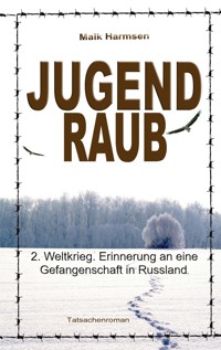 Jugendraub - Maik Harmsen - ebook