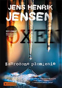Zamrożone płomienie - Jens Henrik Jensen - ebook + książka
