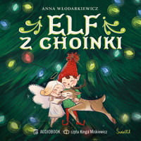 Elf z choinki - Włodarkiewicz Anna - audiobook + książka
