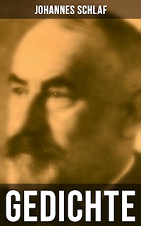 Gedichte - Johannes Schlaf - ebook