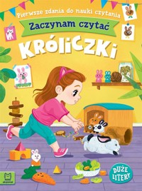 Zaczynam czytać. Duże litery. Pierwsze zdania - Agnieszka Bator - książka
