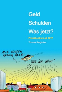 Geld  -  Schulden  -  was jetzt? - Thomas Berghuber - ebook