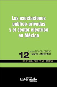 Las asociaciones público-privadas y el sector eléctrico en México - Luis José Béjar Rivera - ebook