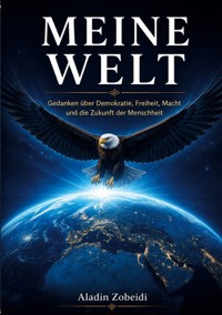 MEINE WELT - Aladin Zobeidi - ebook