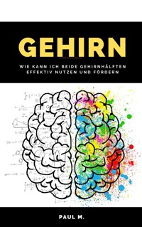 Gehirn - Paul M. - ebook