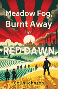 Meadow Fog, Burnt Away by a Red Dawn - Colin Johnson - ebook