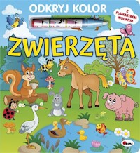 Odkryj kolor Zwierzęta - Kwiecińska Mirosława - książka