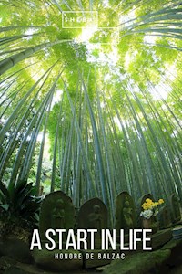 A Start in Life - Honore De Balzac - ebook