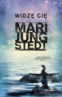 Widzę cię - Mari Jungstedt - ebook + audiobook + książka