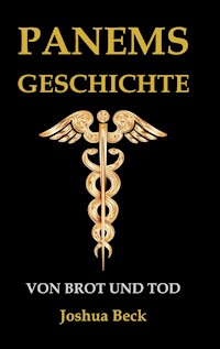 Snowfall - Joshua Beck - ebook