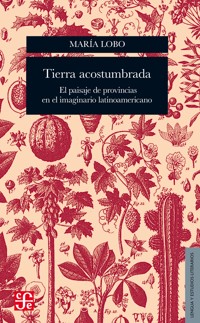 Tierra acostumbrada - María Lobo - ebook