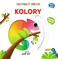 Kolory Motoryka smyka - Nigelli Benedetta - książka