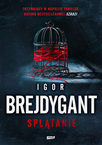Splątanie - Igor Brejdygant - ebook + audiobook + książka
