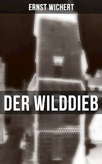 Der Wilddieb - Ernst Wichert - ebook