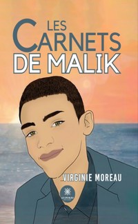 Les carnets de Malik - Virginie Moreau - ebook
