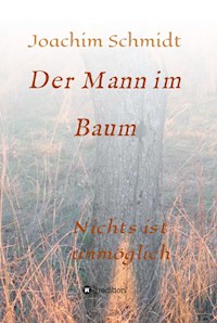 Der Mann im Baum - Joachim Schmidt - ebook