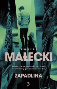 Zapadlina. Seria z komisarz Marią Herman. Tom 3 - Robert Małecki - ebook + audiobook + książka