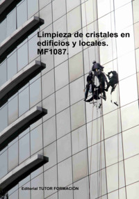 Limpieza De Cristales En Edificios Y Locales. Mf1087. - Natalia Santos Rubio - ebook