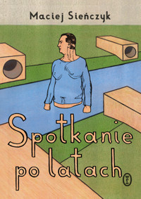 Spotkanie po latach - Maciej Sieńczyk - książka