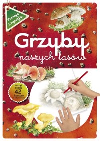 Grzyby naszych lasów - Katarzyna Kopiec-Sekieta - książka