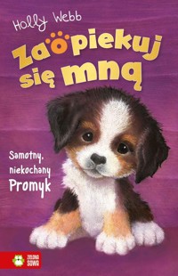 Zaopiekuj się mną Samotny, niekochany Promyk - Holly Webb - ebook + książka