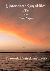Unter dem "Key of life" 2.Teil - Erich Beyer - ebook
