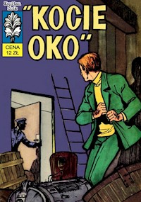 Kapitan Żbik. Kocie oko - Sobala Zbigniew - książka