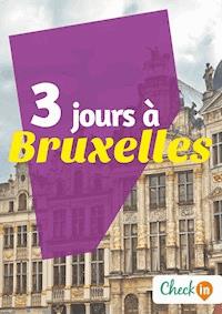 3 jours à Bruxelles - Christophe Piron - ebook