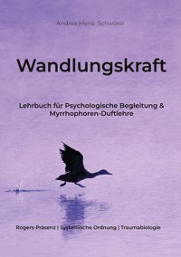 Wandlungskraft - Andrea Merle Schwörer - ebook