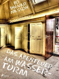 Das Abenteuer am Wasserturm - Bo Ingvar Nilsson - ebook