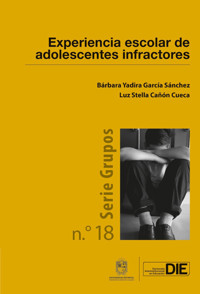 Experiencia escolar de adolescentes infractores - Bárbara Yadira García Sánchez - ebook