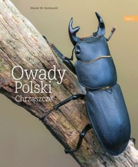 Owady Polski Chrząszcze Tom 2 - Kozłowski Marek W. - książka