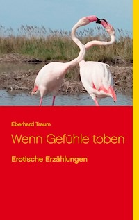 Wenn Gefühle toben - Eberhard Traum - ebook