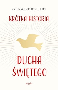 Krótka historia Ducha Świętego - Vulliez Hyacinthe - książka