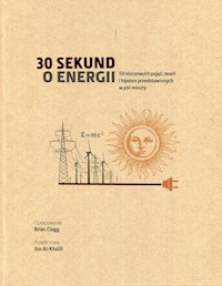 30 sekund o energii - Clegg Brian - książka